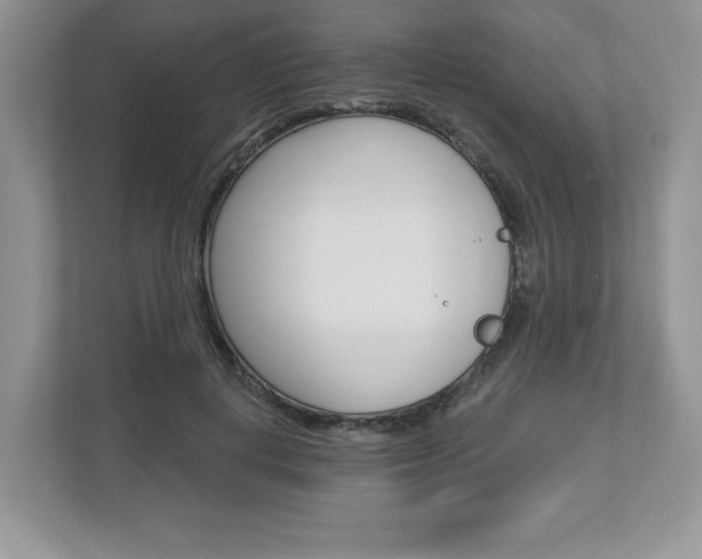 X0000112940648200908241008