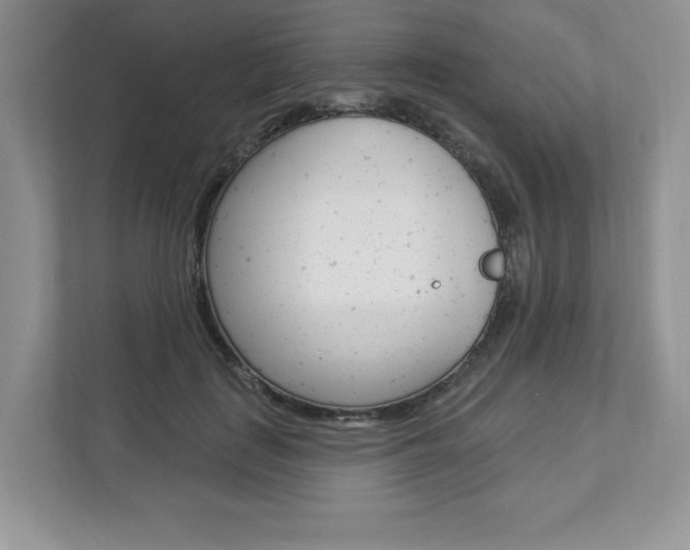 X0000112940651200908241008