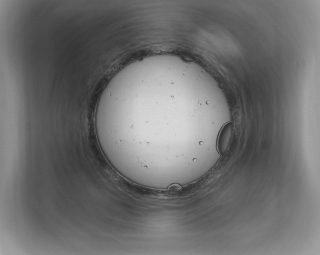 X0000112940655200908241008