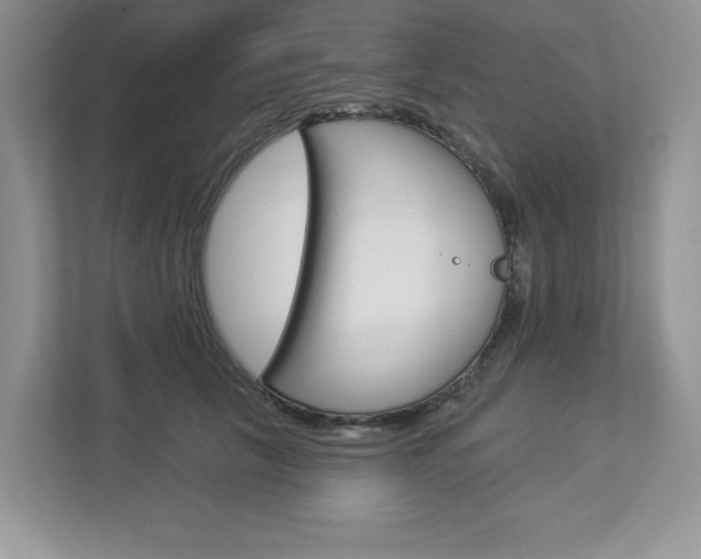 X0000112940657200908241008