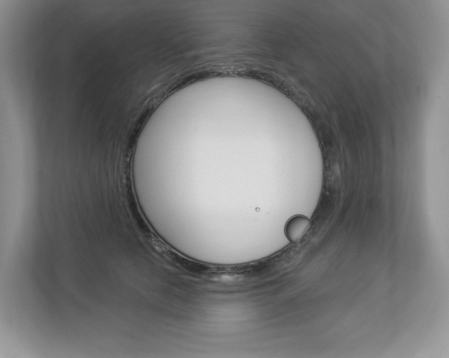 X0000112940658200908241008