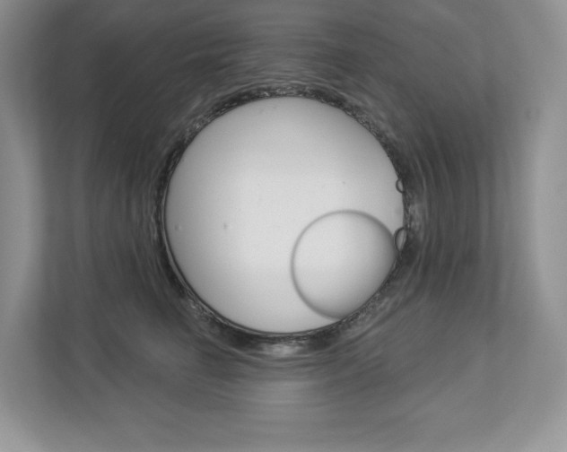 X0000112940662200908241008