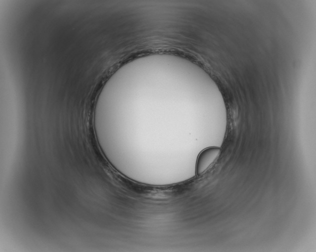 X0000112940664200908241008