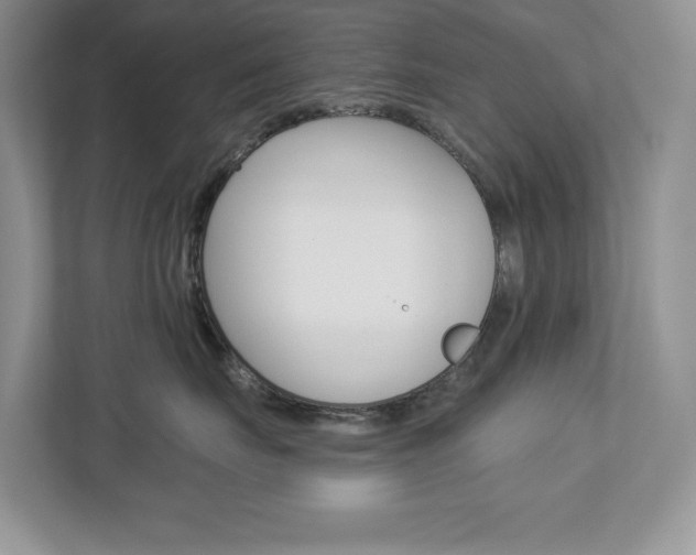 X0000112940671200908241008