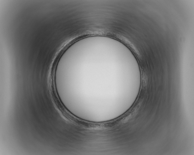 X0000112940674200908241007