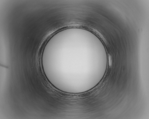 X0000112940675200908241007