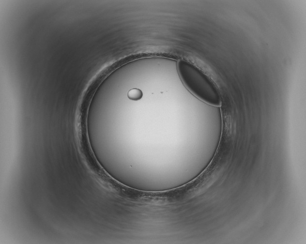 X0000112940676200908241007