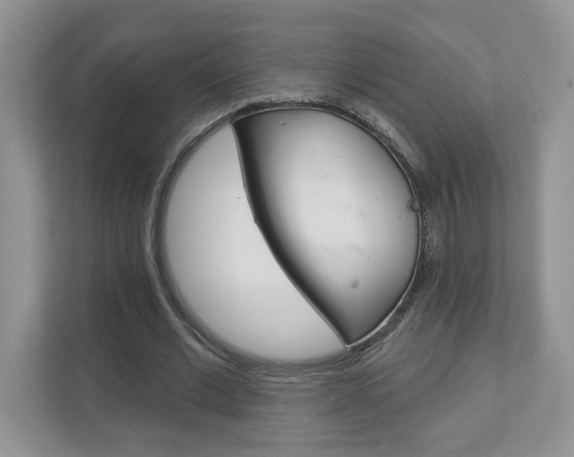 X0000112940677200908241007