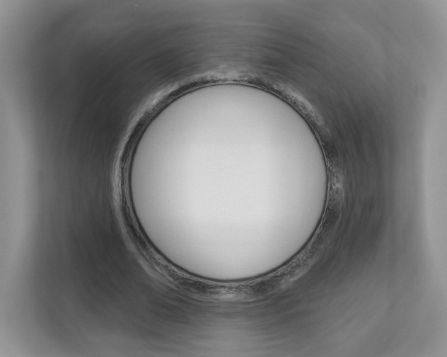 X0000112940678200908241007