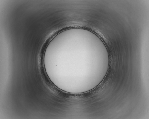 X0000112940679200908241007