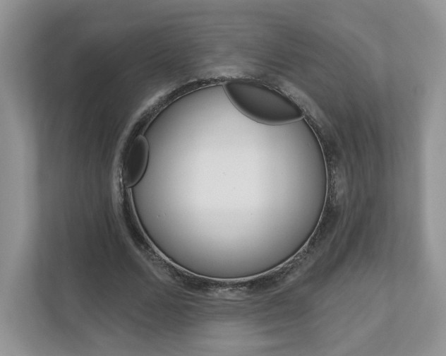 X0000112940680200908241007