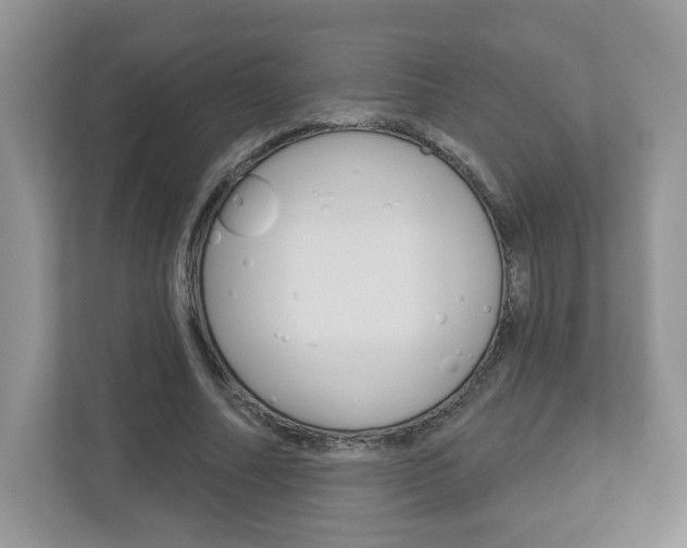 X0000112940682200908241007