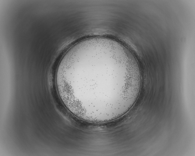 X0000112940683200908241007