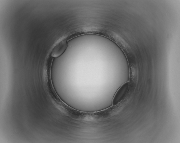 X0000112940684200908241007