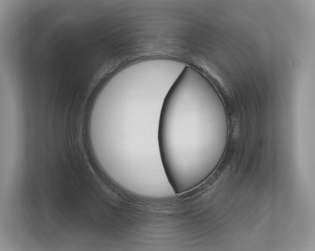 X0000112940685200908241007