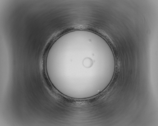 X0000112940686200908241007