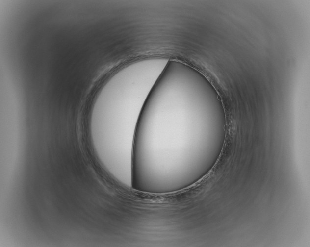 X0000112940688200908241007