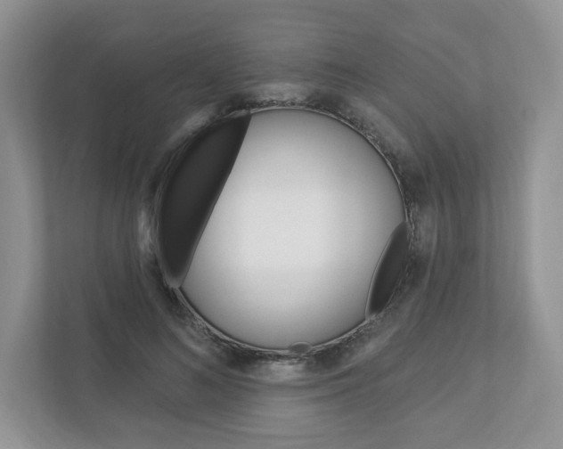 X0000112940692200908241007
