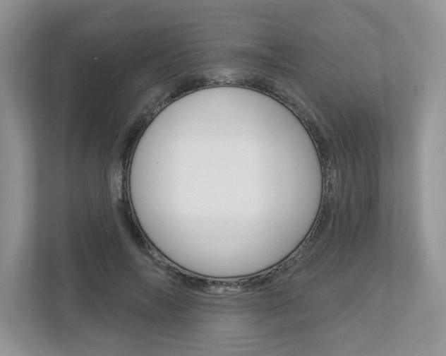 X0000112940694200908241007