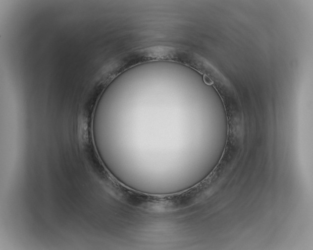 X0000112940696200908241007