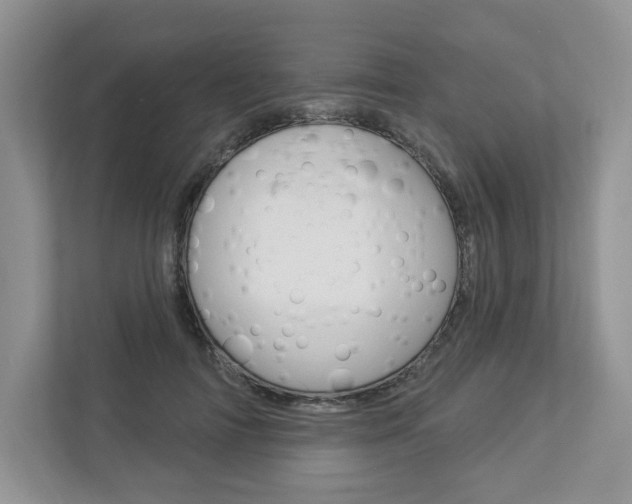 X0000112940698200908241007