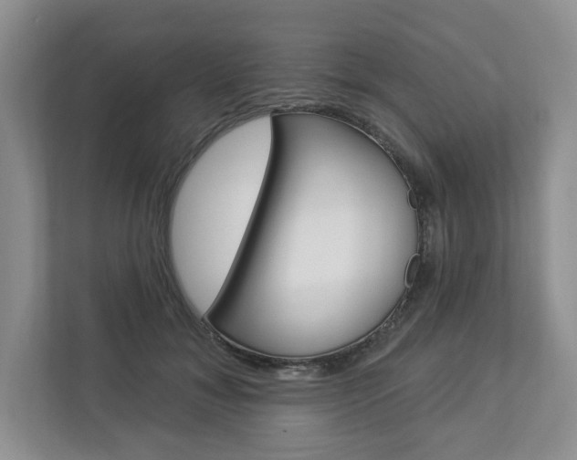 X0000112940700200908241007