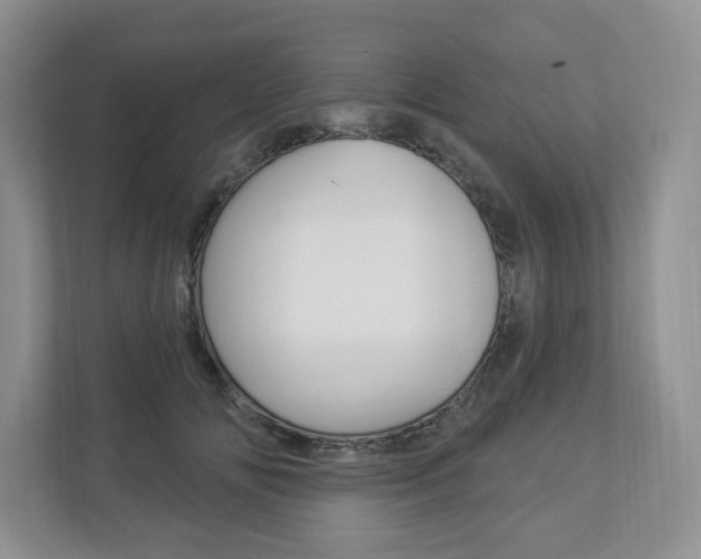 X0000112940702200908241007