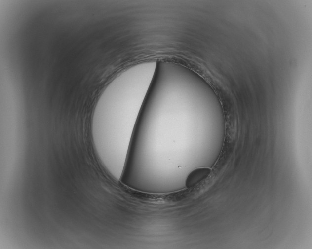 X0000112940704200908241007