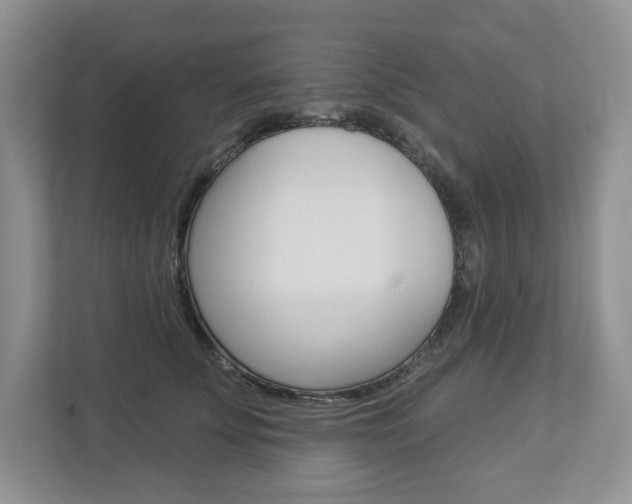 X0000112940707200908241007