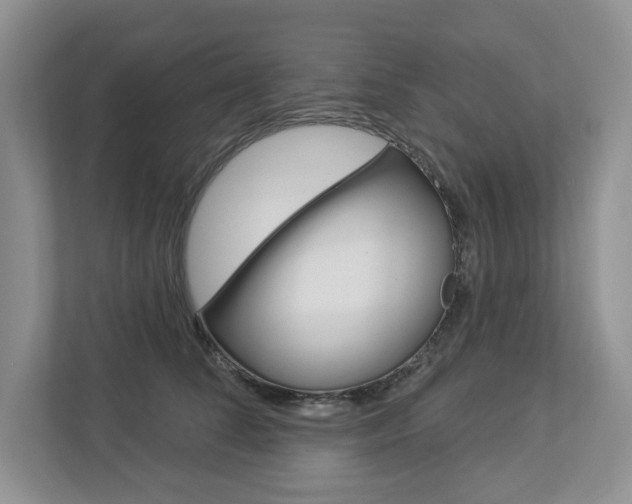 X0000112940708200908241007