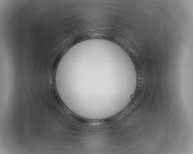 X0000112940710200908241007