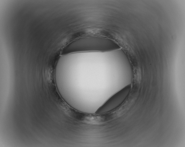 X0000112940712200908241007