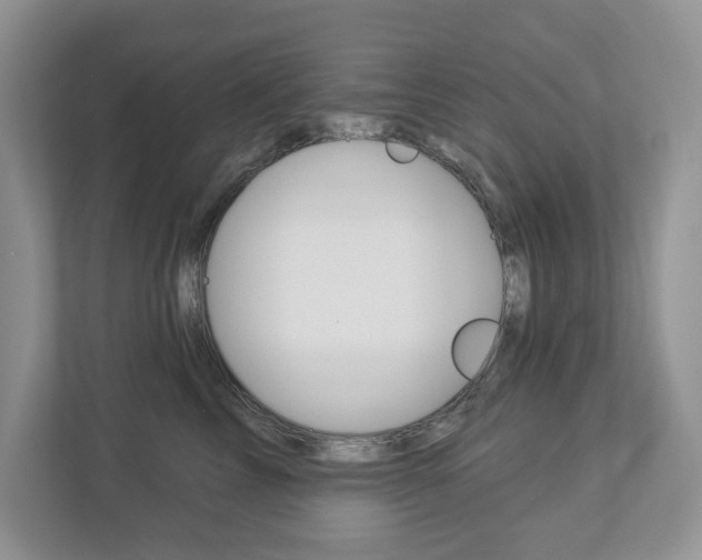X0000112940713200908241007