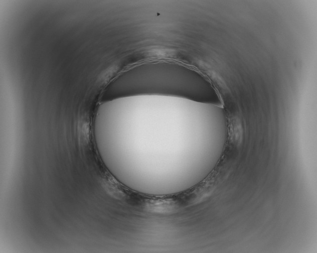 X0000112940716200908241007