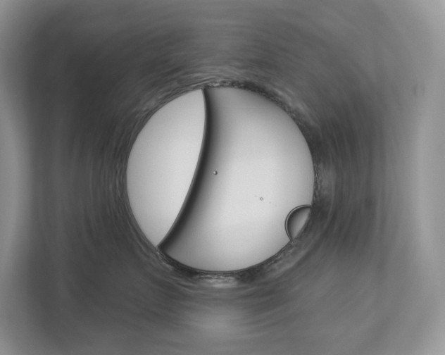 X0000112940719200908241007