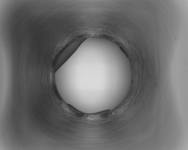 X0000112940720200908241007
