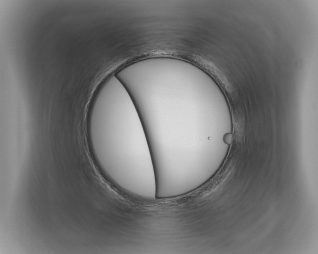 X0000112940721200908241006