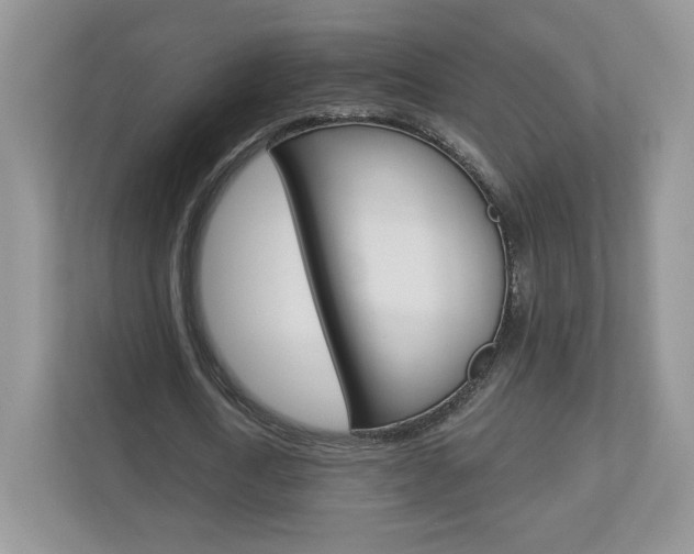 X0000112940722200908241006