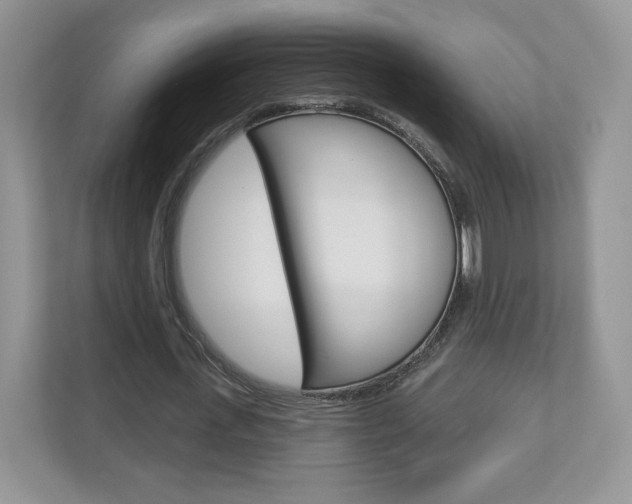 X0000112940723200908241006