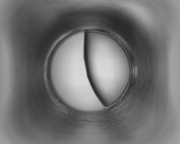X0000112940724200908241006