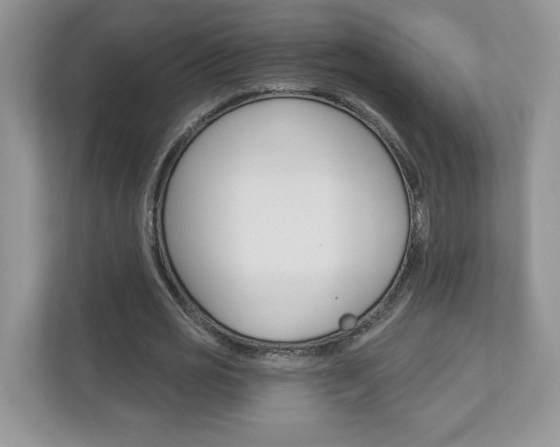 X0000112940725200908241006