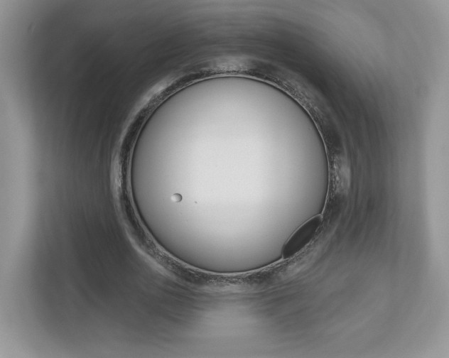 X0000112940726200908241006