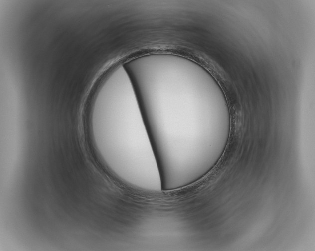 X0000112940727200908241006