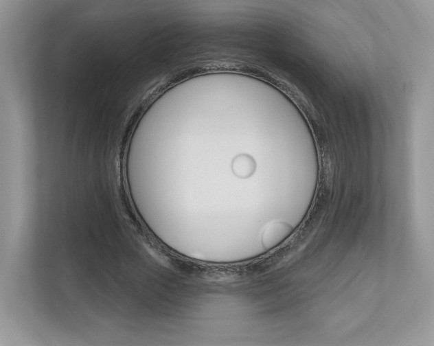 X0000112940729200908241006