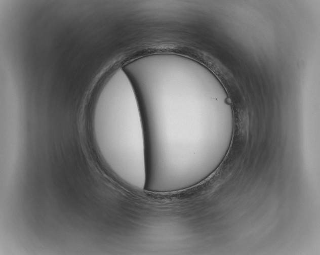 X0000112940731200908241006