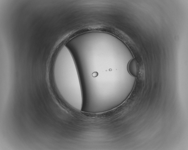 X0000112940732200908241006