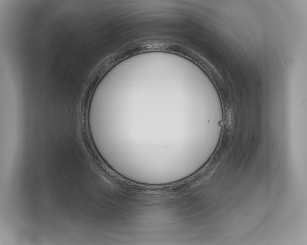 X0000112940733200908241006