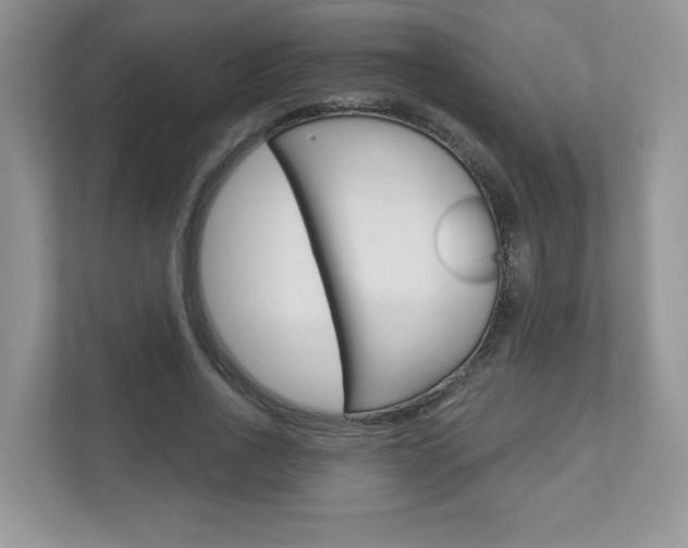 X0000112940734200908241006