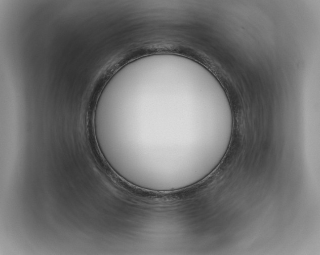 X0000112940735200908241006