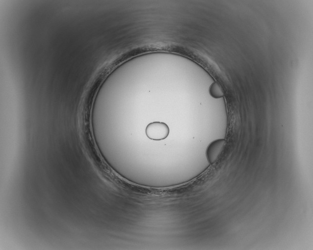 X0000112940736200908241006